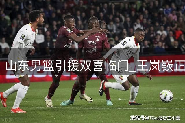 山东男篮引援双喜临门 王岚嵚正式来投 以色列得分王有望加盟