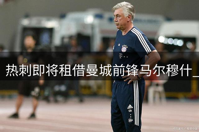 热刺即将租借曼城前锋马尔穆什 含5000万镑强制买断条款